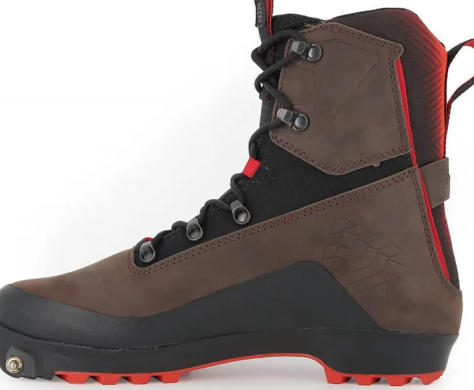 Alpina Unisex Pioneer Pro Xp Dark Brown Black
