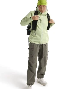 Arc'teryx Women's Beta Jacket Dark Shincha