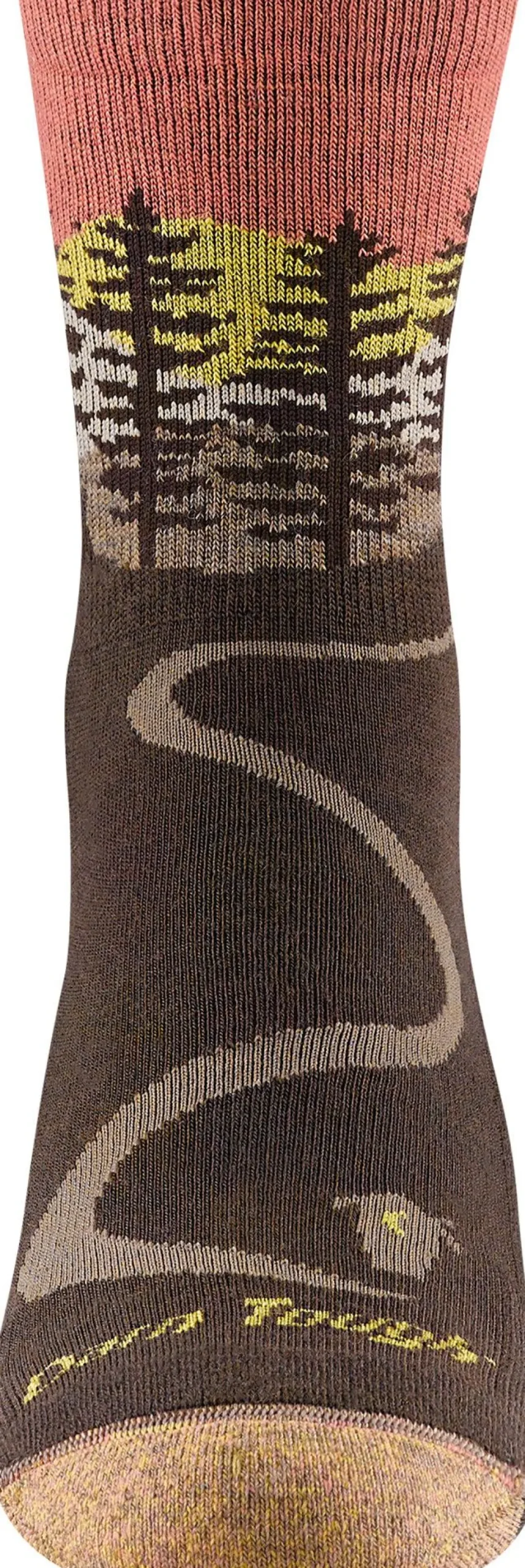 Darn Tough Women's Micro Crew Midweight Hiking Sock