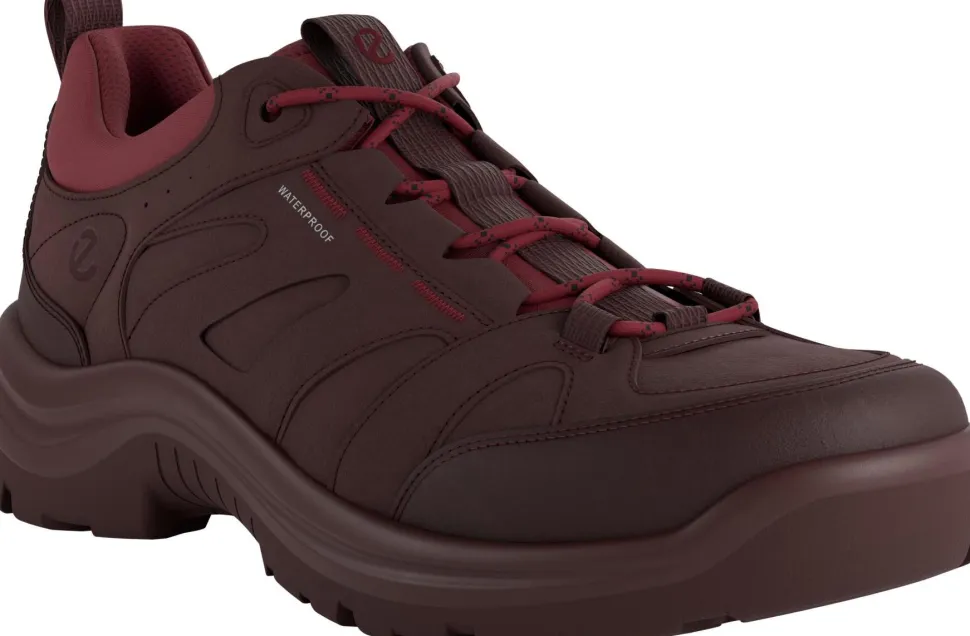 Ecco Women's Offroad W Lea Low Waterproof Andorra/Andorra/Brick