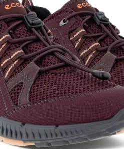 Ecco Women's Terracruise II Gtx Tex Fig/Fig
