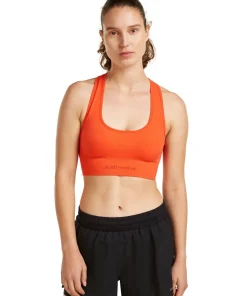 Icebreaker Women's Merino Blend 260 Zoneknit Seamless Bra Fervid