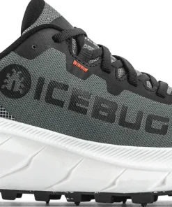 Icebug Women's Arcus 2 BUGrip GORE-TEX Grey