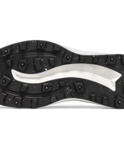 Icebug Women's Arcus 2 BUGrip GORE-TEX Grey