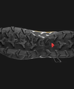 Salomon Speedcross 6 20 Years Castlerock/Asphalt/Arrowwood