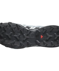 Salomon Women's Speedcross 6 GORE-TEX Flint Stone/Black/Heather