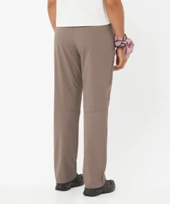 Salomon Women's Wayfarer 2.0 Pants Iron/