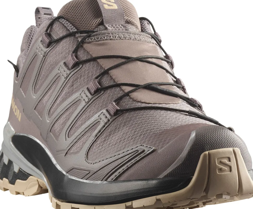 Salomon Women's XA Pro 3D V9 GORE-TEX Plum Kitten/black/gull