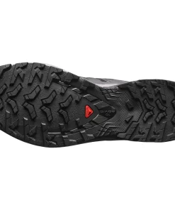 Salomon Women's XA Pro 3D V9 Black/Gull/Excalibur